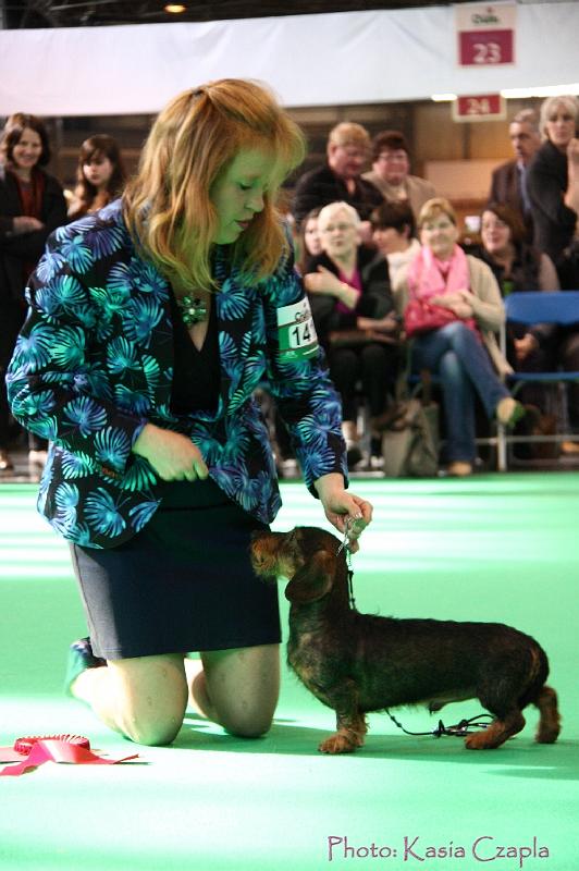 Crufts2011_2 932.jpg